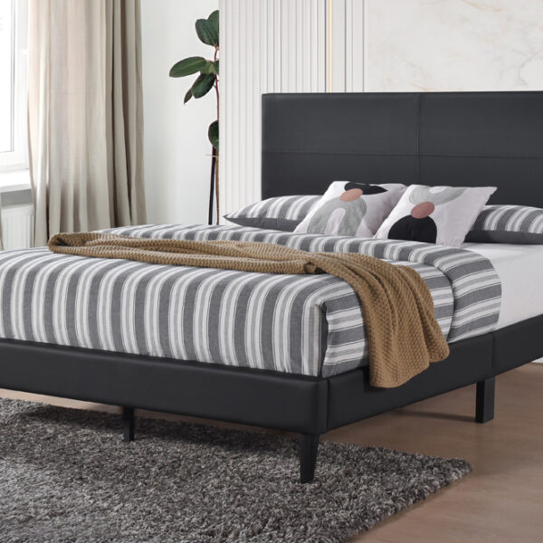 Model T2105 Black Bed Frame
